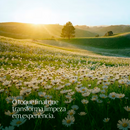 HexFresh | Perfume Finalizador para Estofados